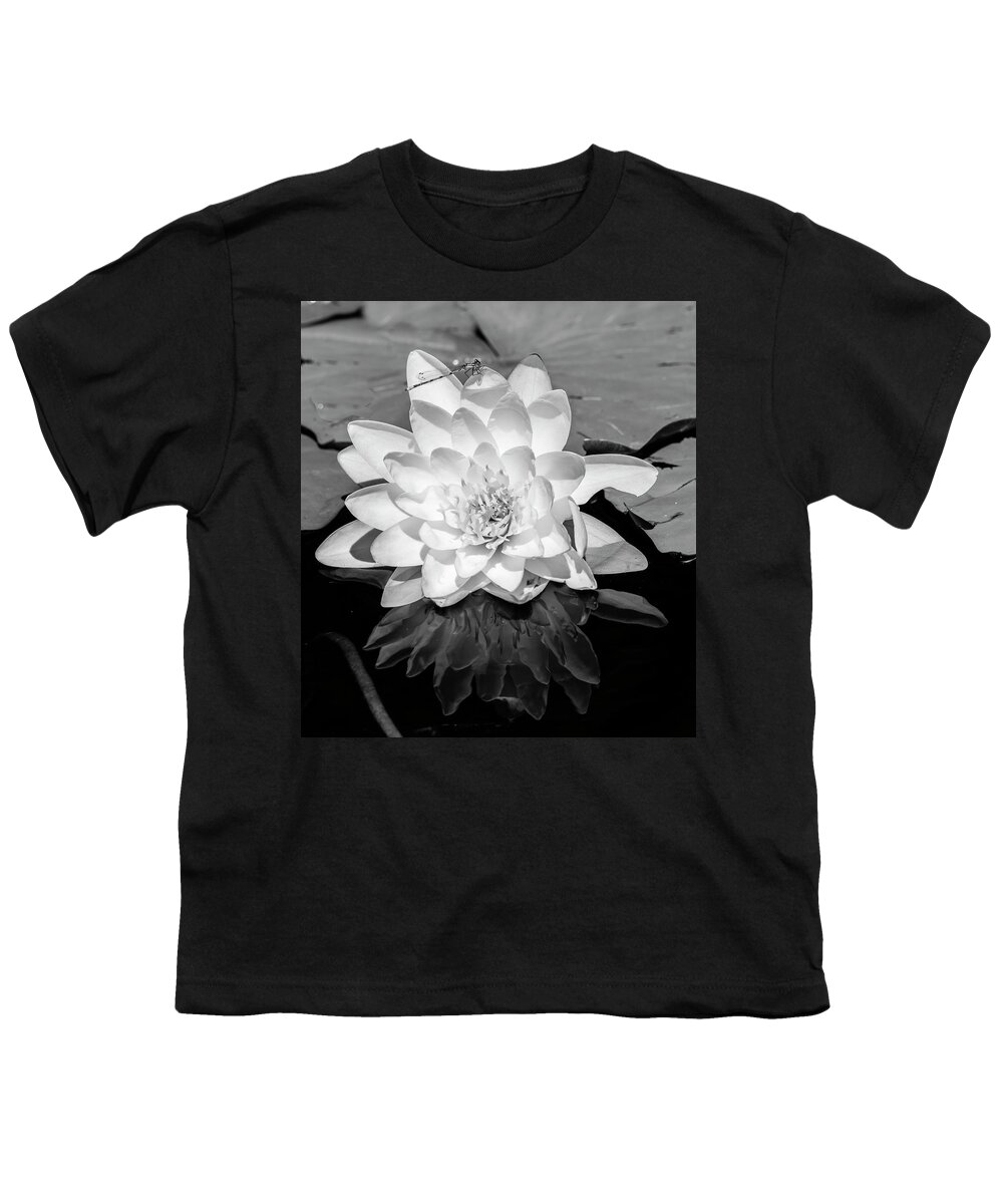 Photography Black And White Outdoors Day No People Nature Scenics Tranquil Scene Tranquility Non-urban Scene Travel Destinations Vertical Common Water Lily Water Lily Floating Floating On Water Lily Flower Freshness White Stamen Flower Head Growth Reflection Flora Plant Life Close-up Youth T-Shirt featuring the photograph Common Water Lily floating on water #2 by Panoramic Images