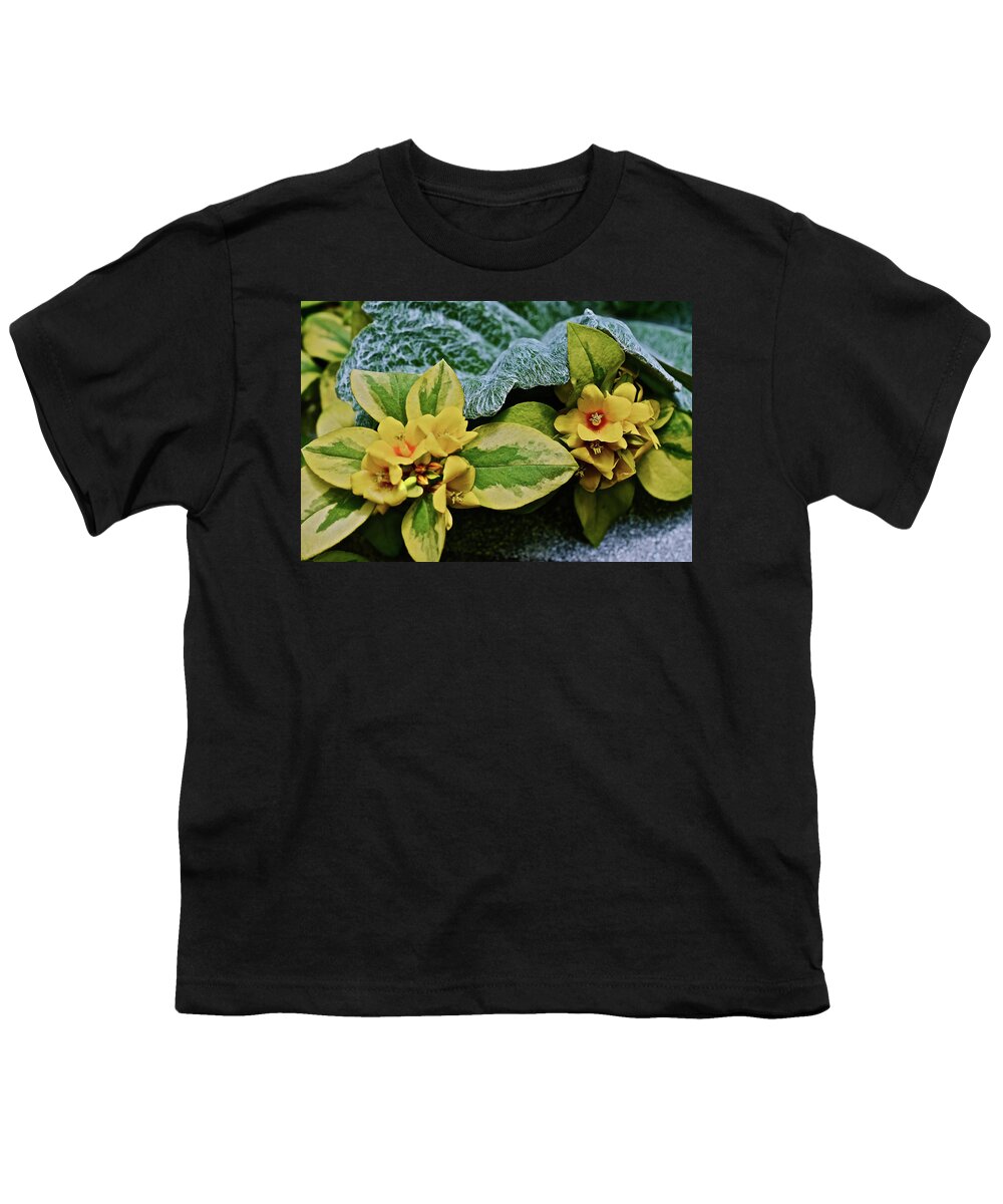Flowers Youth T-Shirt featuring the photograph 2020 Mid June Garden Container 2 by Janis Senungetuk