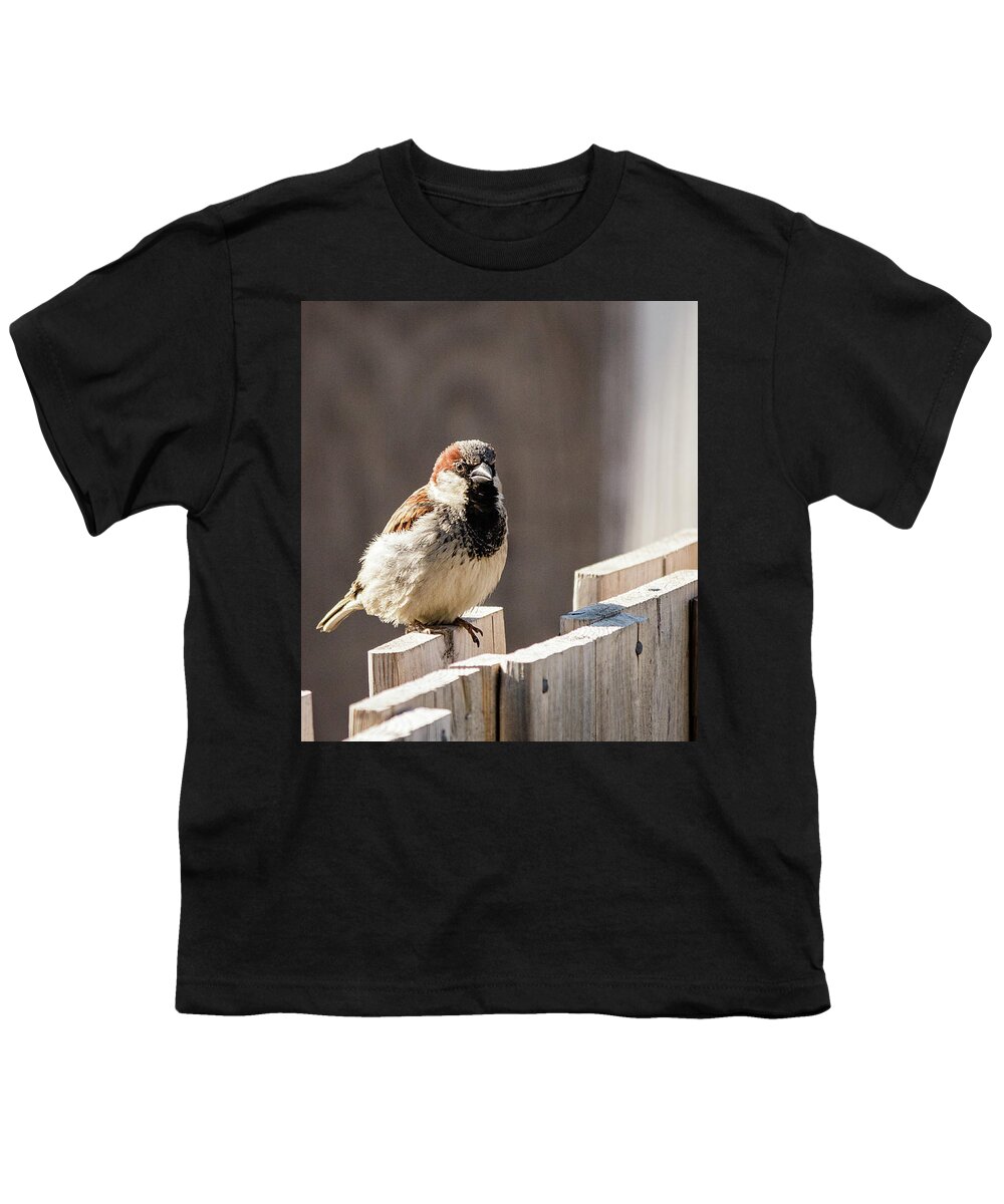 House Sparrow Youth T-Shirt featuring the photograph House Sparrow on a fence #22 by SAURAVphoto Online Store