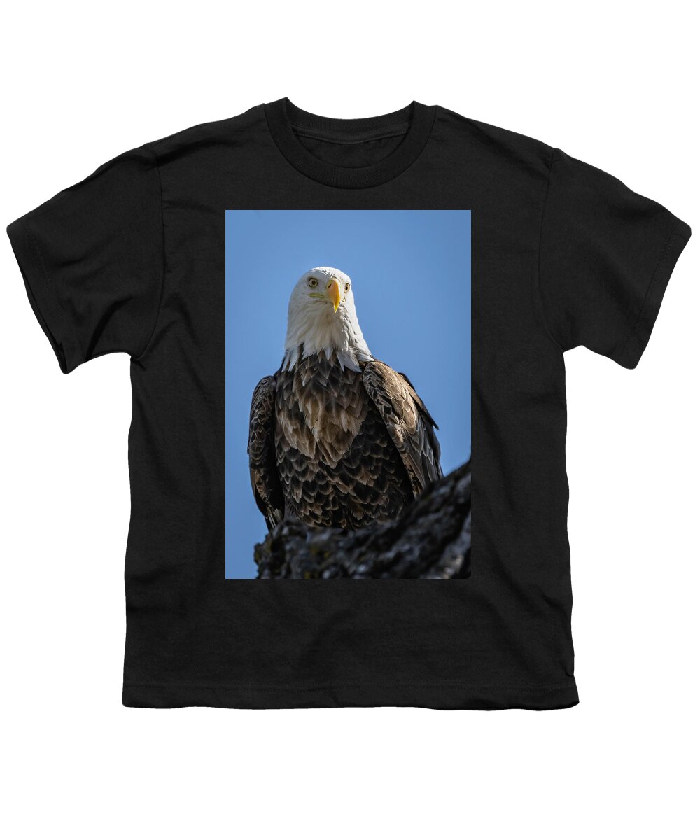 Eagle Youth T-Shirt featuring the photograph Well Hello #3 by Laura Hedien