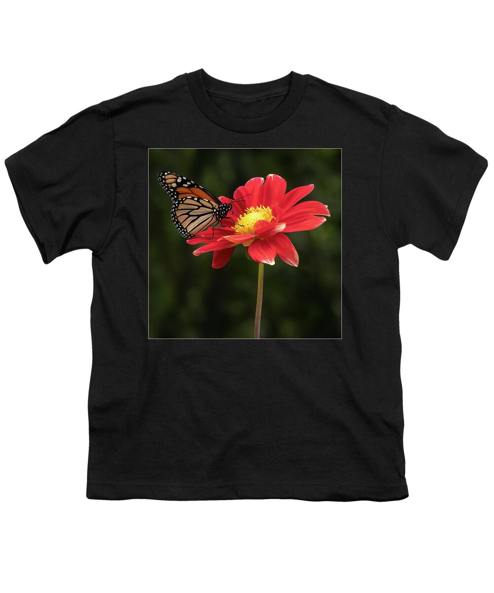 Monarch Youth T-Shirt featuring the photograph A Monarch in profile by Sylvia Goldkranz