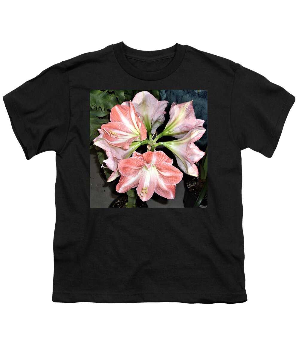 Amaryllis Youth T-Shirt featuring the photograph Amaryllis Burst by Nancy Ayanna Wyatt
