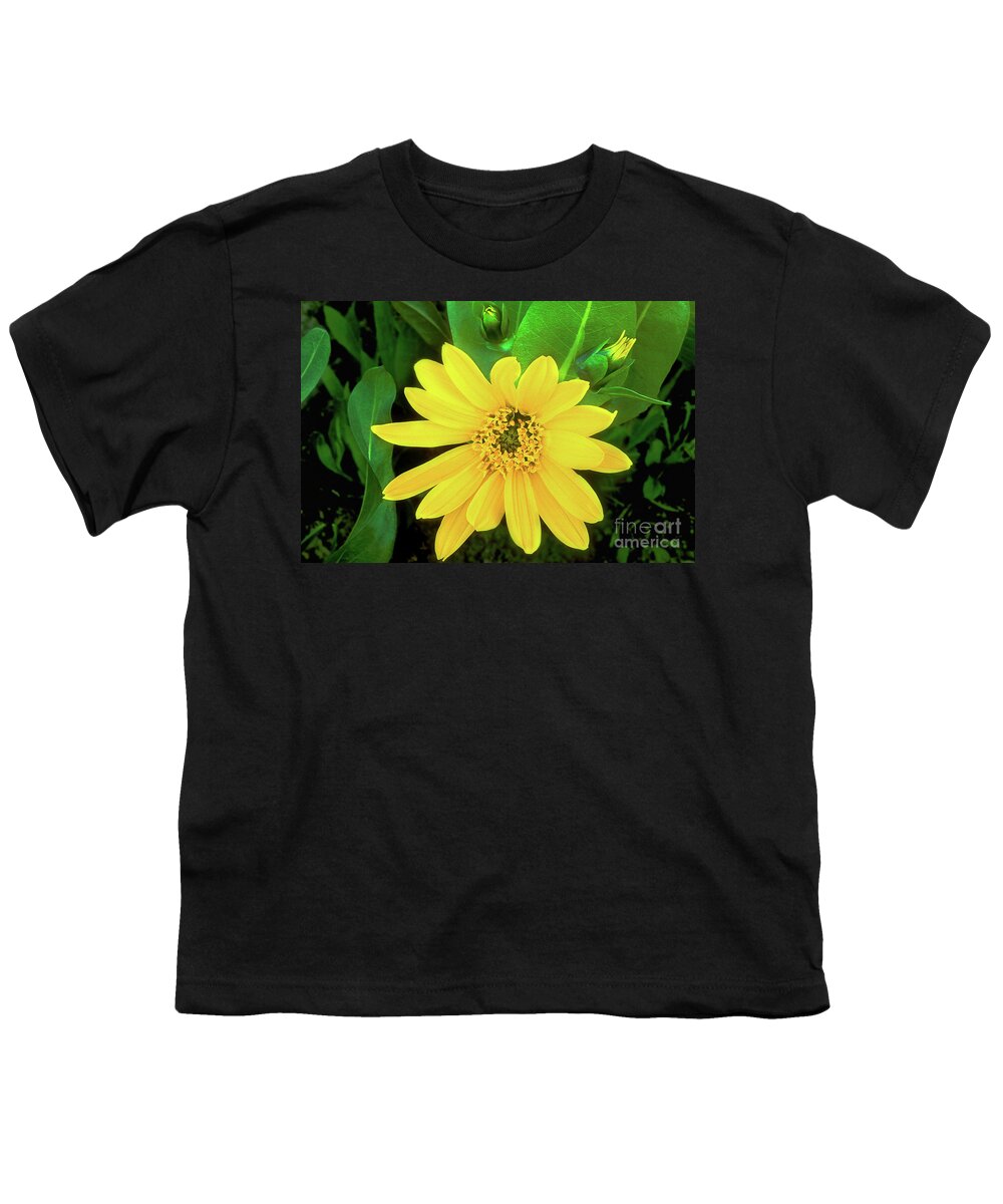 Dave Welling Youth T-Shirt featuring the photograph Balsamroot Wildflower Balsamorhiza Sagitatta Wyoming by Dave Welling