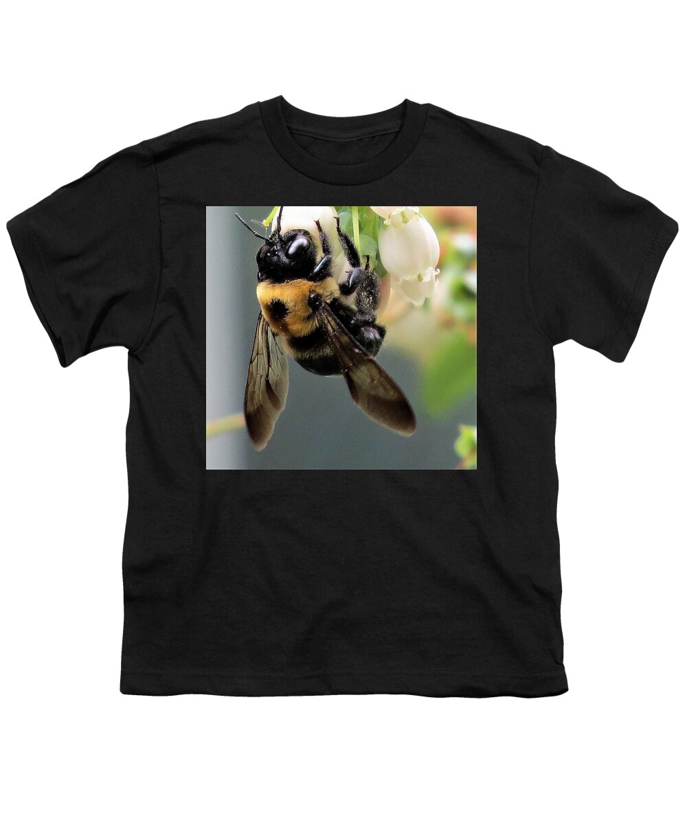 Insects Youth T-Shirt featuring the photograph Bee on Blueberry Blossoms by Linda Stern