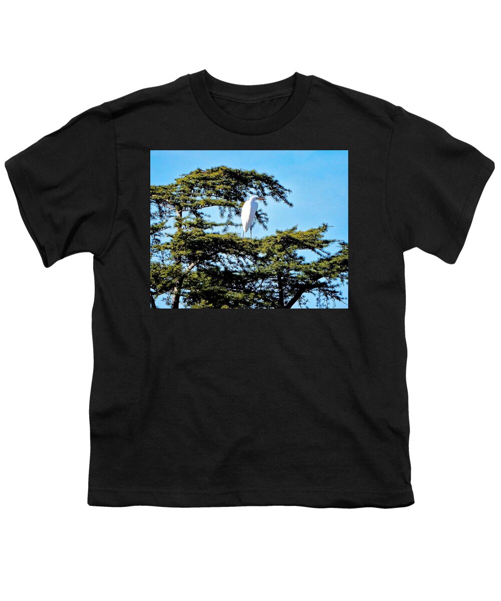 Bird Youth T-Shirt featuring the photograph Bird High Right by Andrew Lawrence