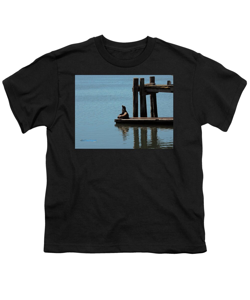 Animal Youth T-Shirt featuring the photograph Bodega Bay Seal by Richard Thomas