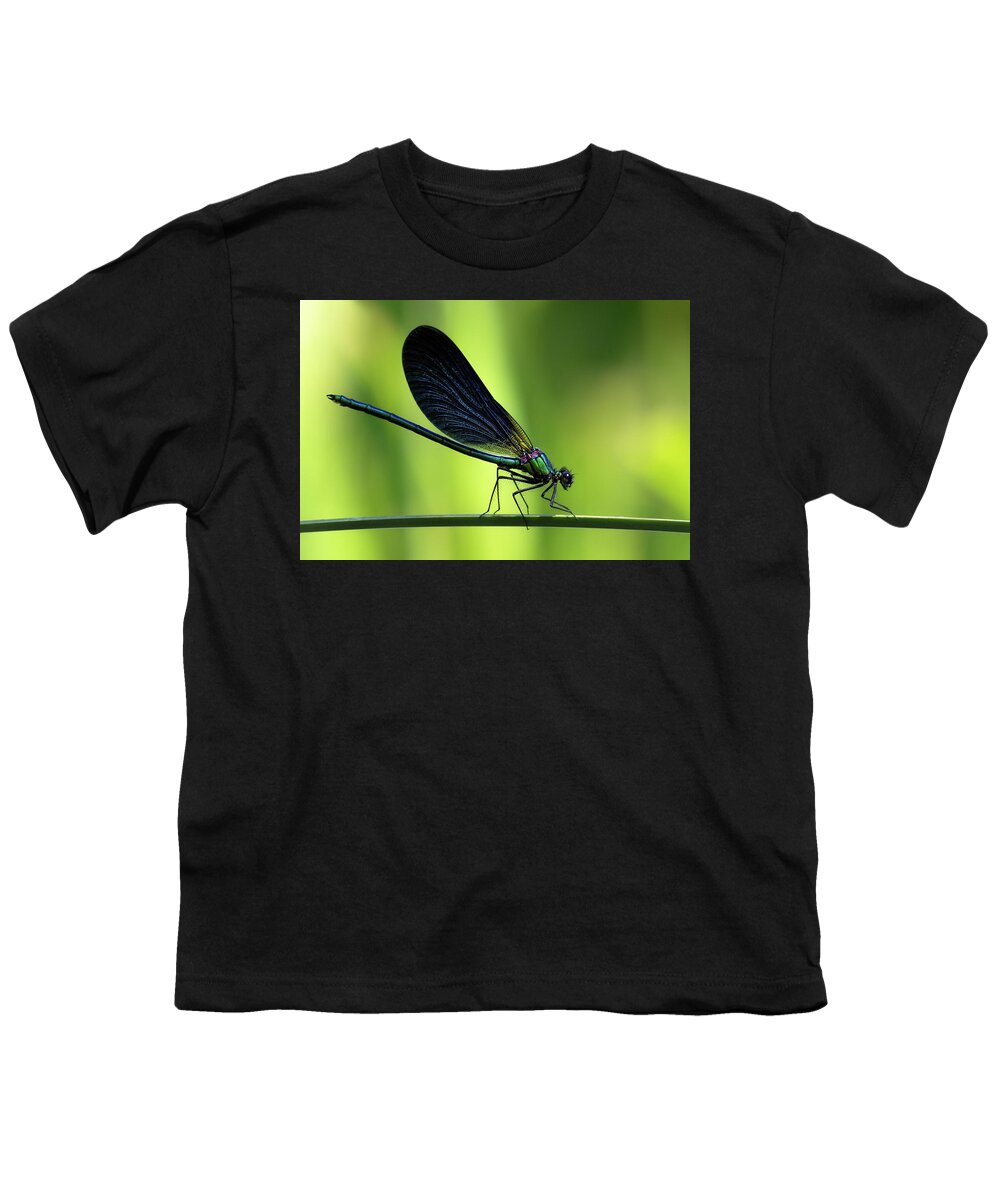 Calopteryx Youth T-Shirt featuring the photograph Calopteryx virgo - the Beautiful Demoiselle by Olivier Parent