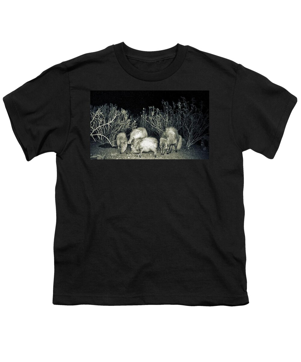 Animals Youth T-Shirt featuring the photograph Collared Peccary or Javelina Herd at Night by Judy Kennedy