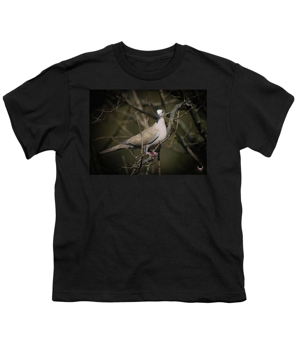 Dove Youth T-Shirt featuring the photograph Dove by Pam Rendall