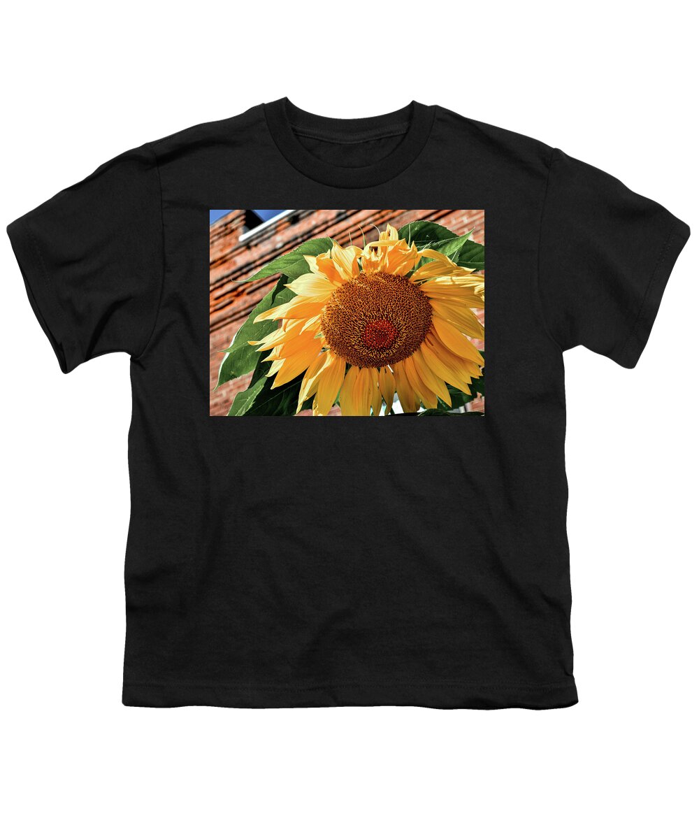 Sunflower Youth T-Shirt featuring the photograph Downtown Garden Heaven by Susie Loechler
