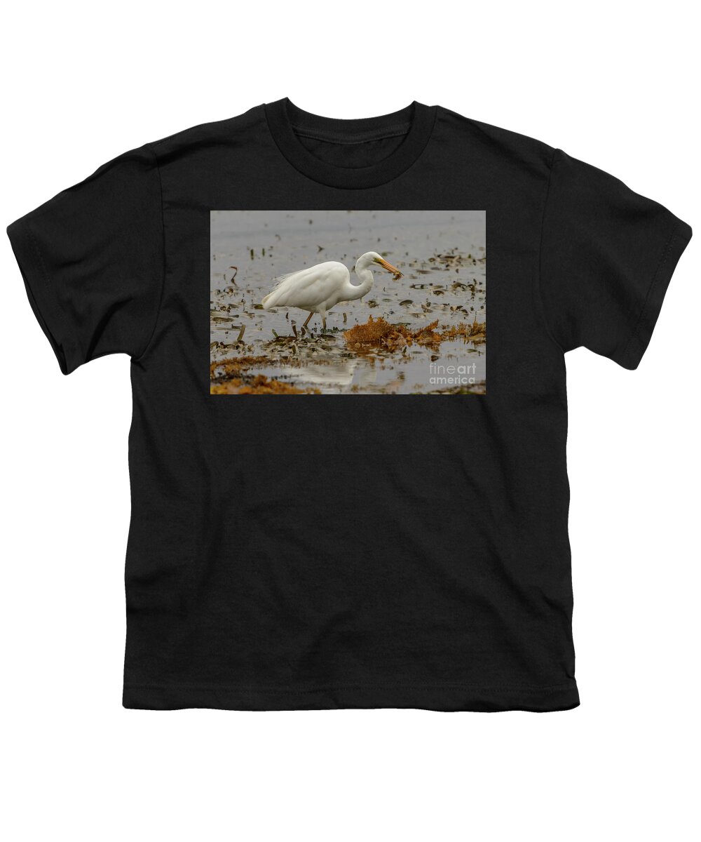 Nature Youth T-Shirt featuring the photograph Eastern Great Egret 10 by Werner Padarin