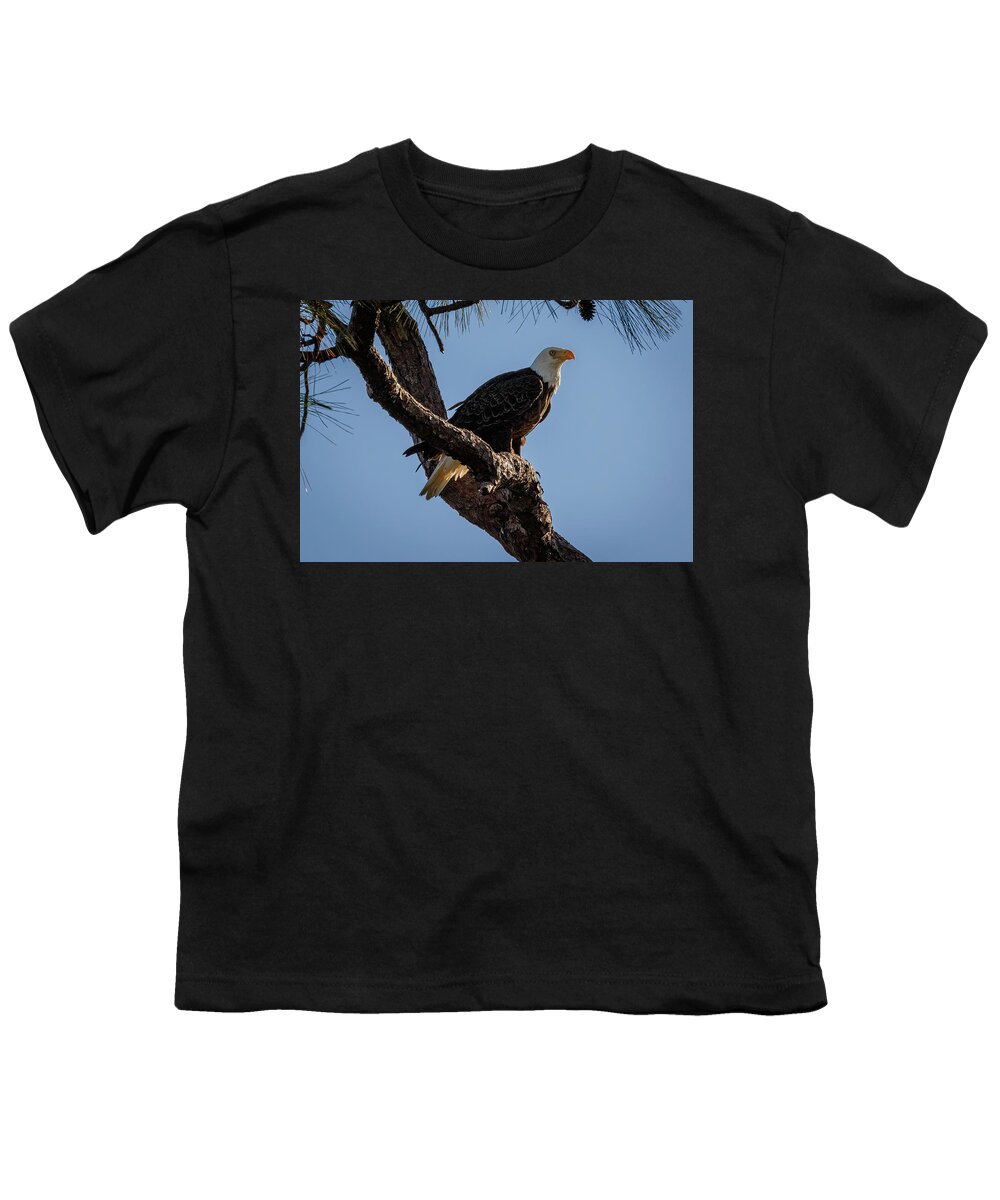 Eagle Youth T-Shirt featuring the photograph Edith Profile by Les Greenwood