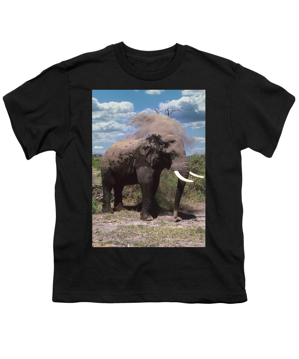 Africa Youth T-Shirt featuring the photograph Elephant Dirt Bath by Russ Considine