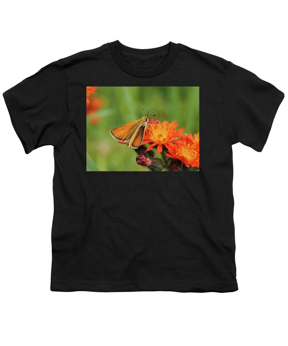 Essex Skipper Youth T-Shirt featuring the photograph Essex skipper by James Peterson