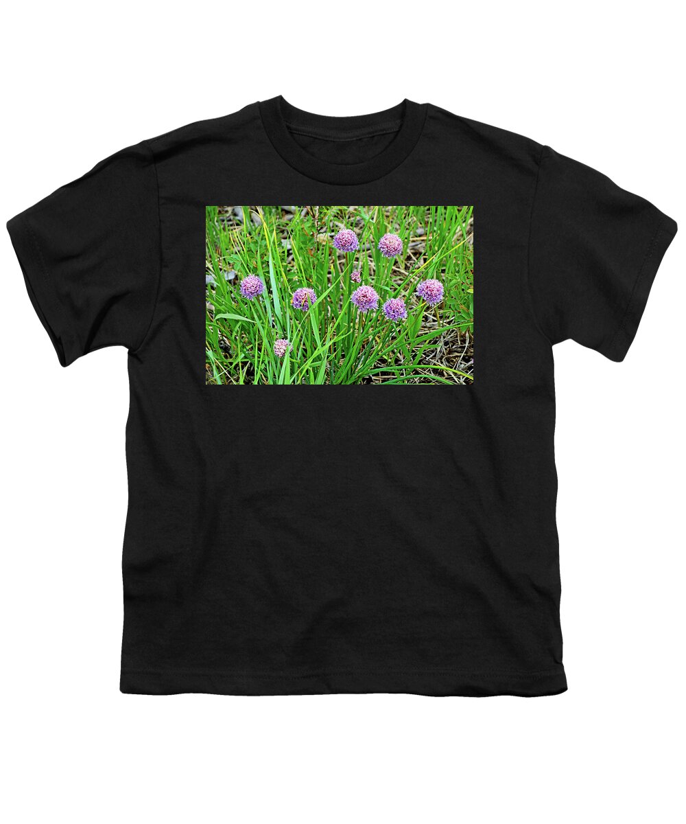 Estes Park Youth T-Shirt featuring the photograph Estes Park 2020 Study 15 by Robert Meyers-Lussier