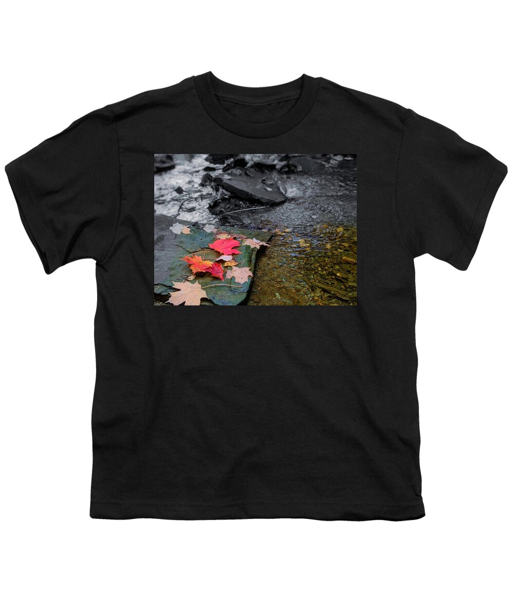  Youth T-Shirt featuring the photograph Fall Leaves by Brad Nellis
