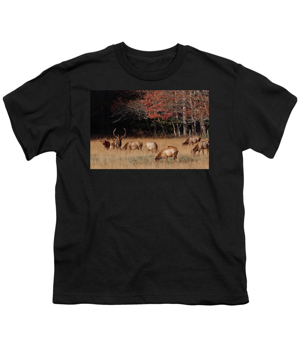 Elk Youth T-Shirt featuring the photograph Getting Noticed by Gina Fitzhugh
