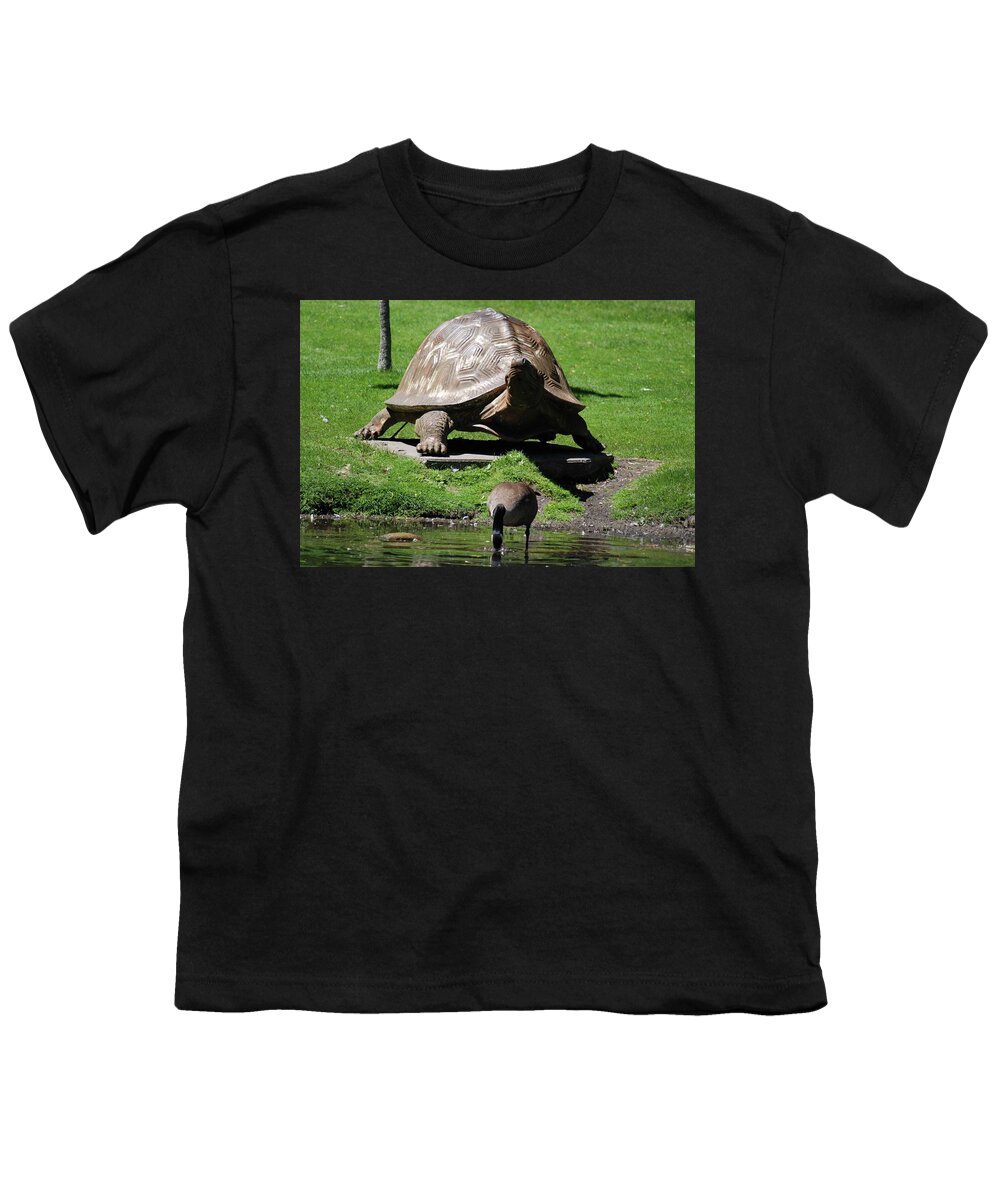 Canadian Geese Youth T-Shirt featuring the photograph Giant Tortoise And Geese by Ee Photography