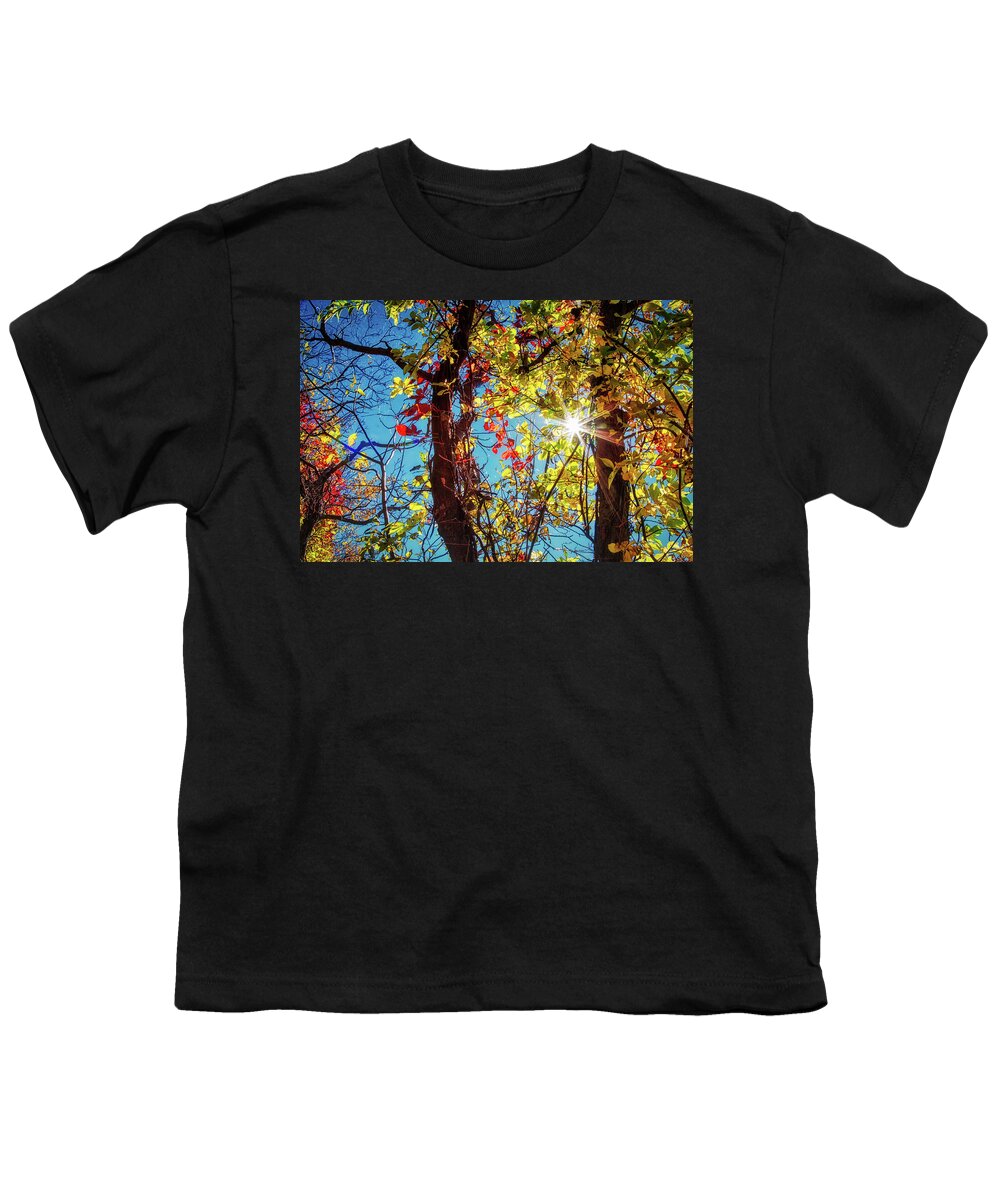 Star Youth T-Shirt featuring the photograph Golden leaves and sunburst by Tatiana Travelways