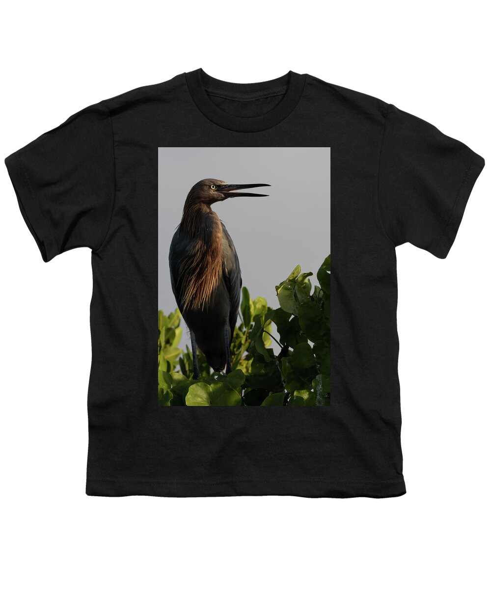 Reddish Egret Youth T-Shirt featuring the photograph Greeting the morning sun by RD Allen