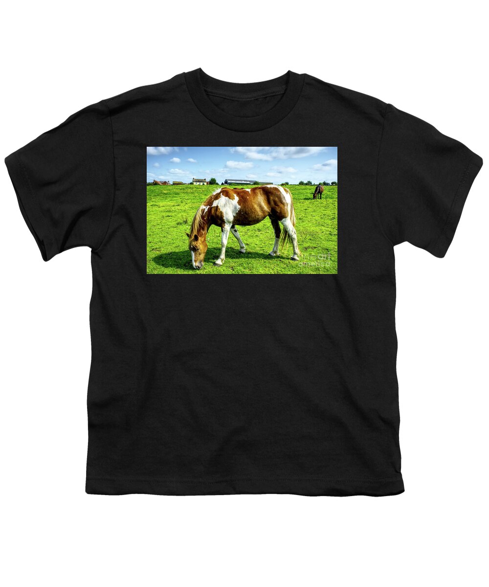 Horse Youth T-Shirt featuring the photograph Horses in a field in Heywood Grt Manchester, UK by Pics By Tony