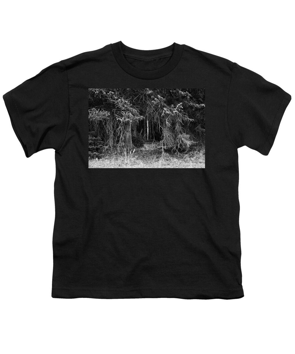 Forest Youth T-Shirt featuring the photograph Into the Forest by Amee Cave
