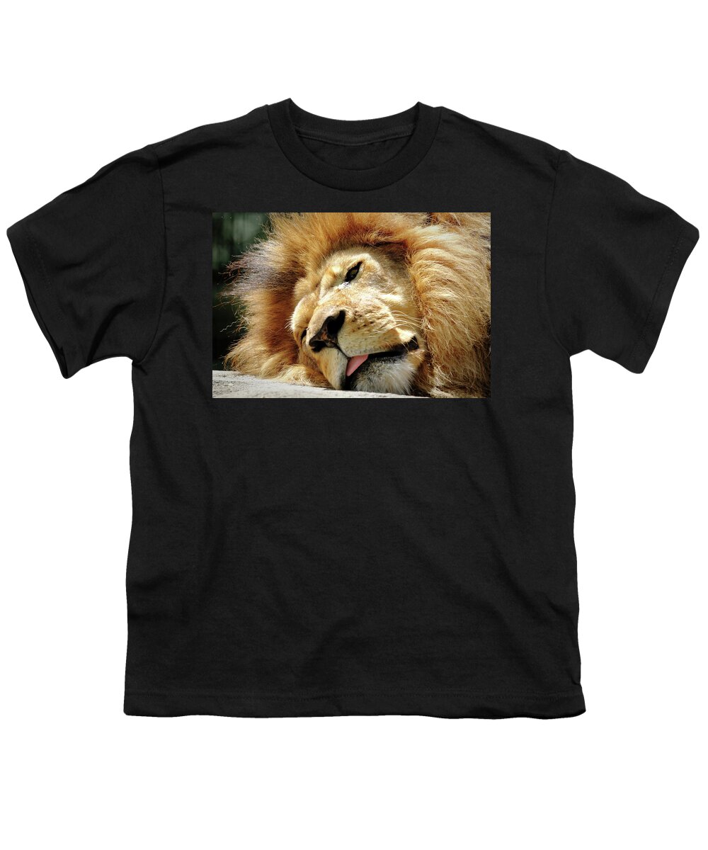 Lion Youth T-Shirt featuring the photograph Just Lion Around by Lens Art Photography By Larry Trager