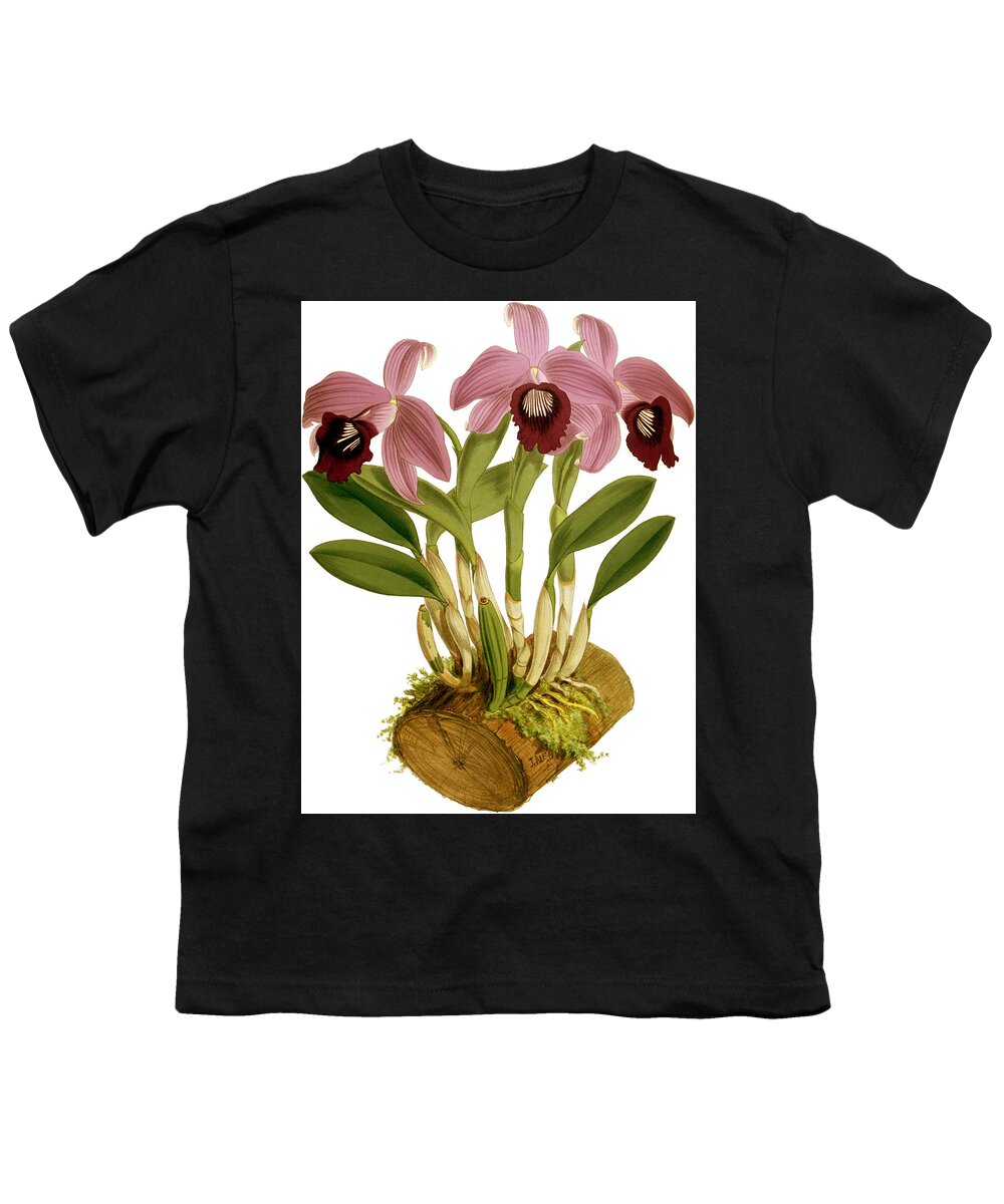 Orchid Youth T-Shirt featuring the mixed media Laelia Dayana Orchid by World Art Collective