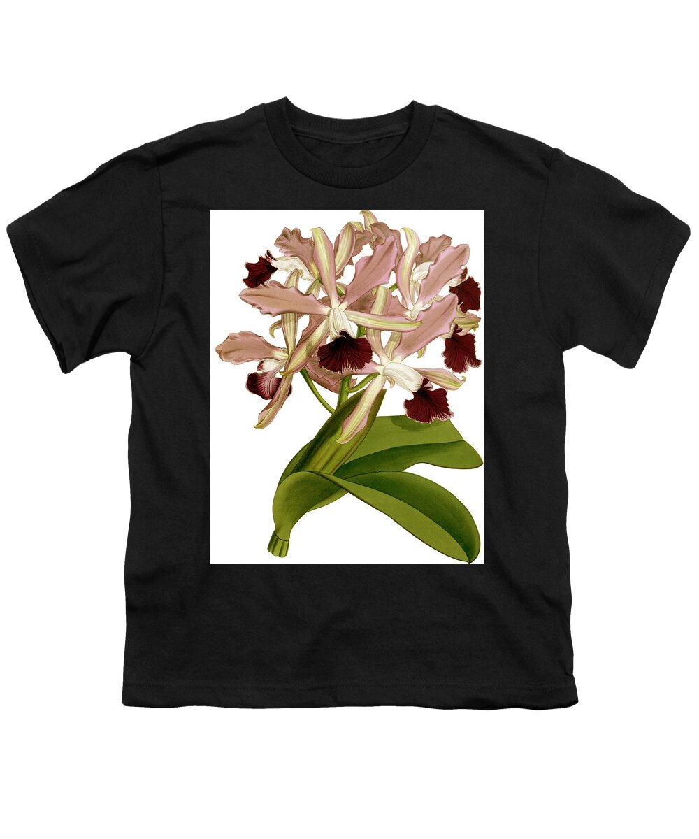 Laelia Youth T-Shirt featuring the mixed media Laelia Elegans Prasiata Orchid by World Art Collective