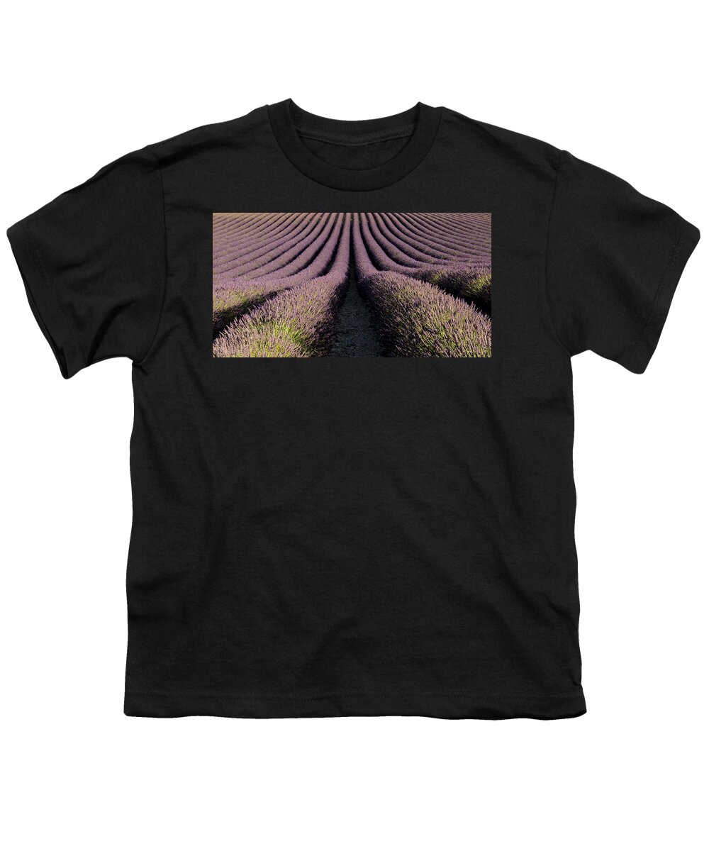 Lavender Youth T-Shirt featuring the photograph Lavender field in Provence by Pietro Ebner