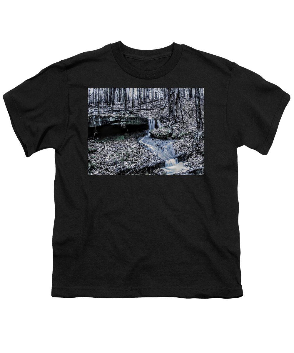  Youth T-Shirt featuring the photograph Liberty Park in the Fall by Brad Nellis