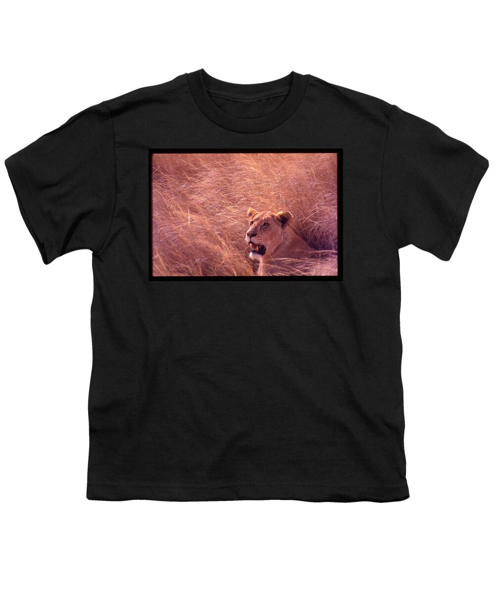 Africa Youth T-Shirt featuring the photograph Lioness in Tall Grass by Russ Considine