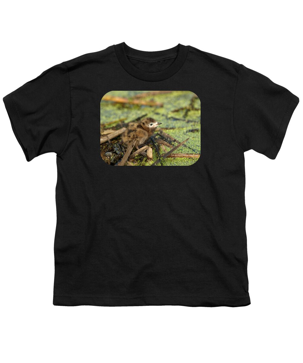 Peterson Nature Photography Youth T-Shirt featuring the photograph Little Black Tern by James Peterson