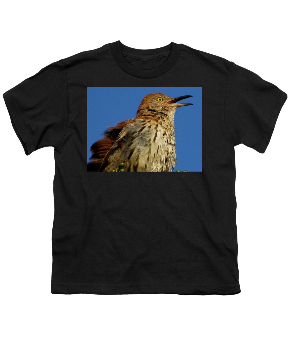 #singing #brown #thrasher #bird #windy #tunes #north #georgia #summer Youth T-Shirt featuring the photograph Love Song In The Morning by Belinda Lee
