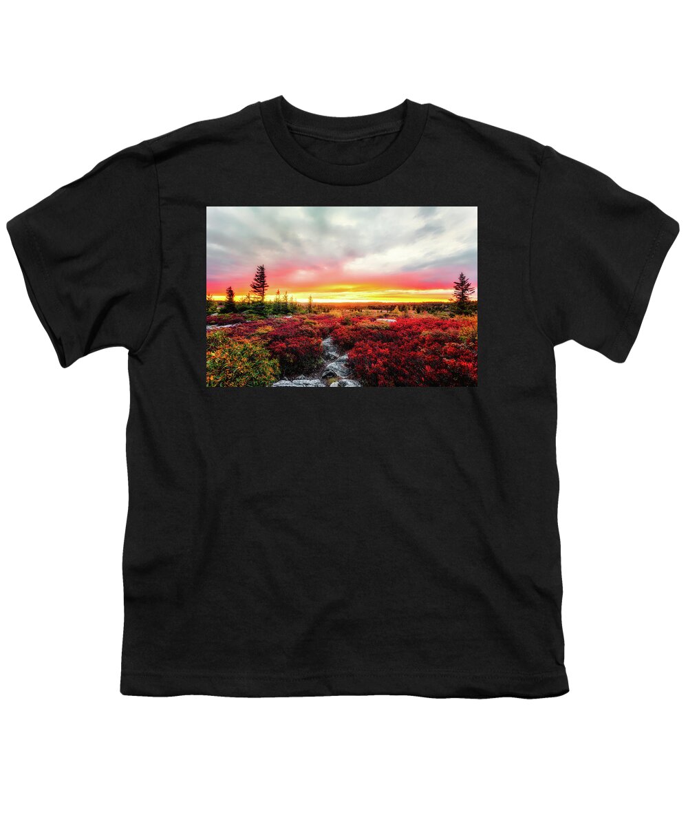 Landscape Youth T-Shirt featuring the photograph Magic of Autumn by C Renee Martin