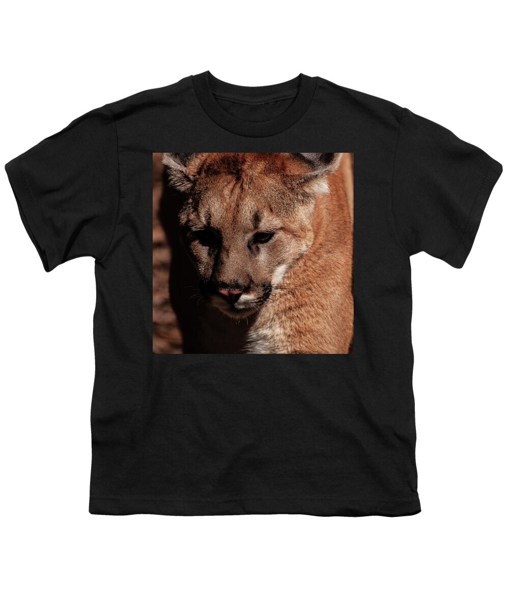 Mountain Lion Portrait Youth T-Shirt featuring the photograph Mountain lion portrait 002 by Flees Photos