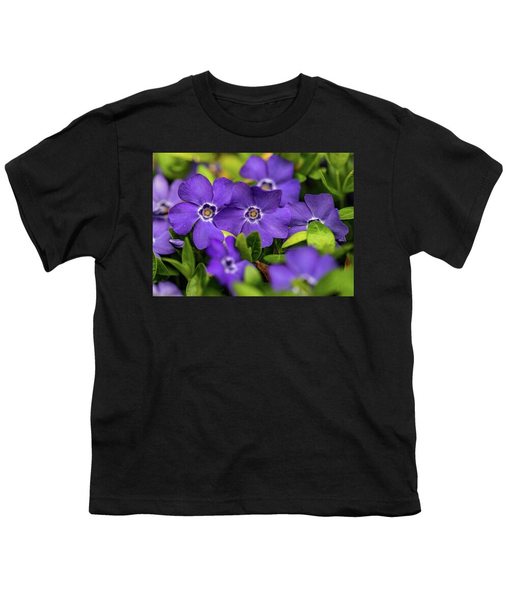 Plants Youth T-Shirt featuring the photograph Purple Flowers In The Garden by Amelia Pearn