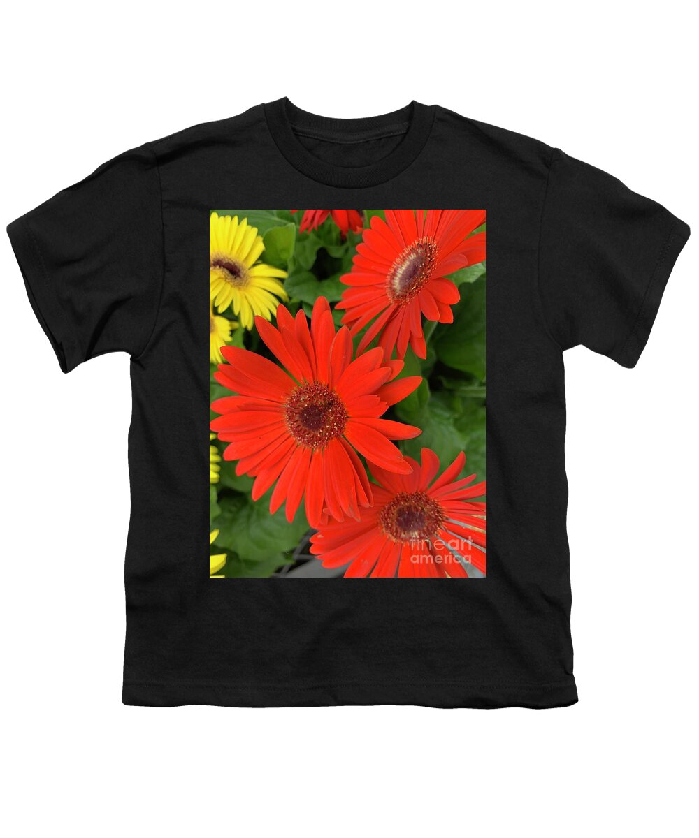 Flowers Youth T-Shirt featuring the photograph Red Flowers Trio by Catherine Wilson