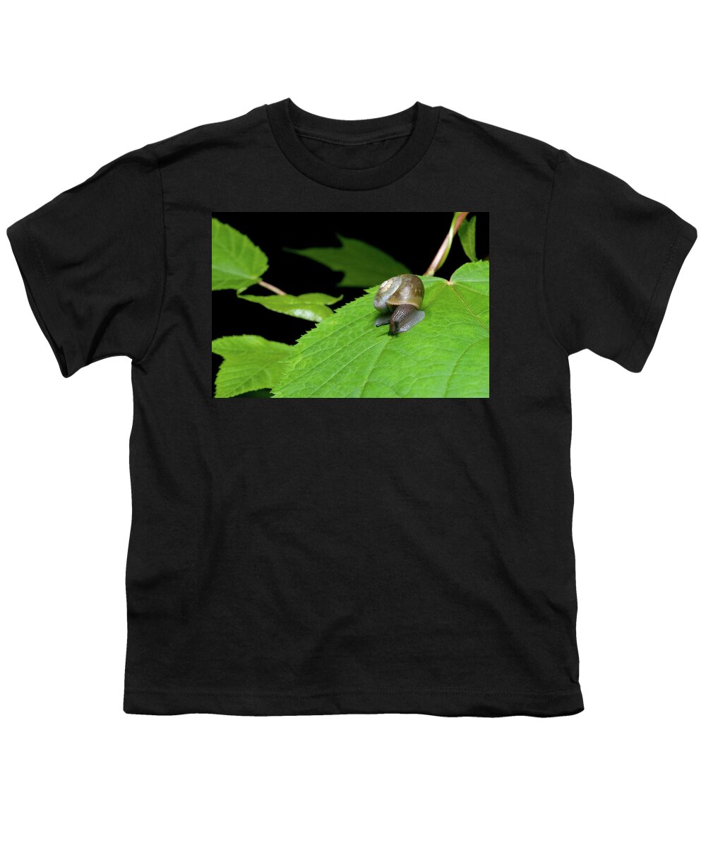 Macro Youth T-Shirt featuring the photograph Snails Journey by Melissa Southern