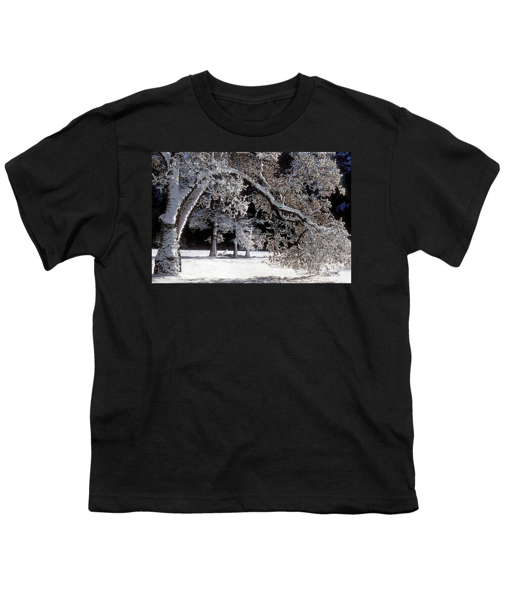 Black Oak Youth T-Shirt featuring the photograph Snow Covered Black Oak Yosemite National Park by Dave Welling