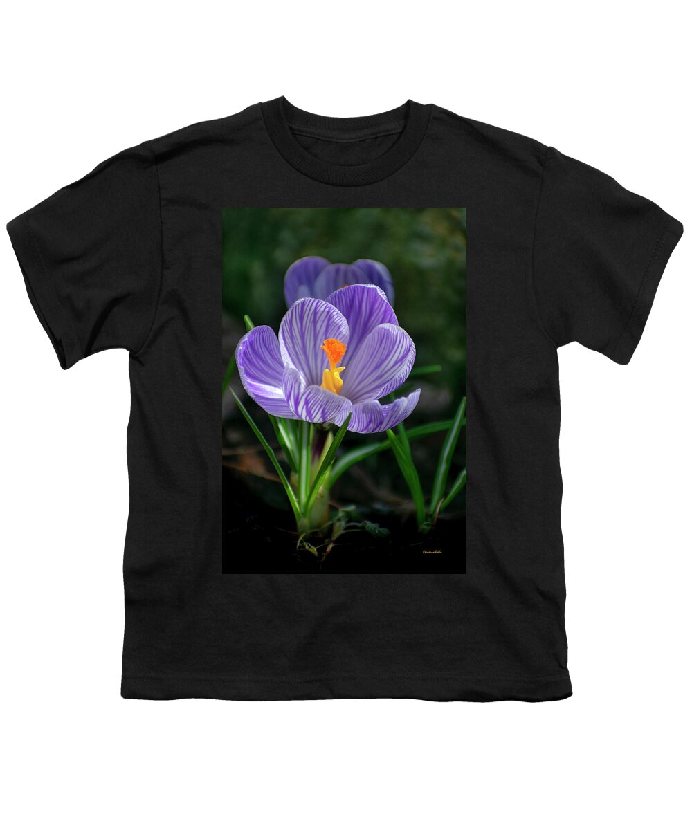 Flower Youth T-Shirt featuring the photograph Spring Crocus Flower by Christina Rollo