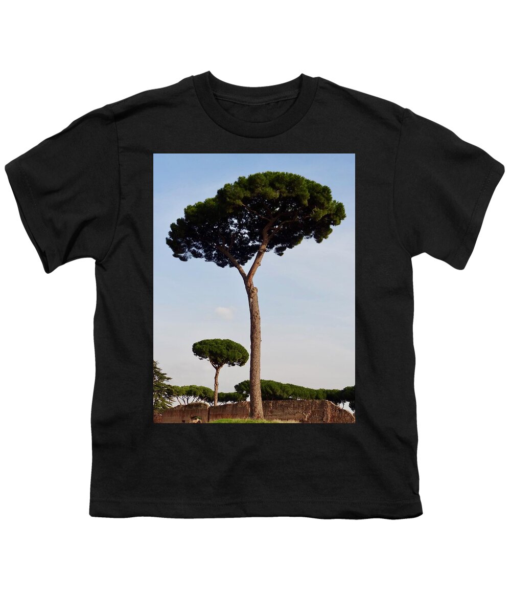 Stone Pine Botanical Pinus Pineaitalian Umbrella Parasol Pinetree Stadio Palatino Piazza Del Coloseo Rome Youth T-Shirt featuring the photograph Stone Pine by Tim Mattox