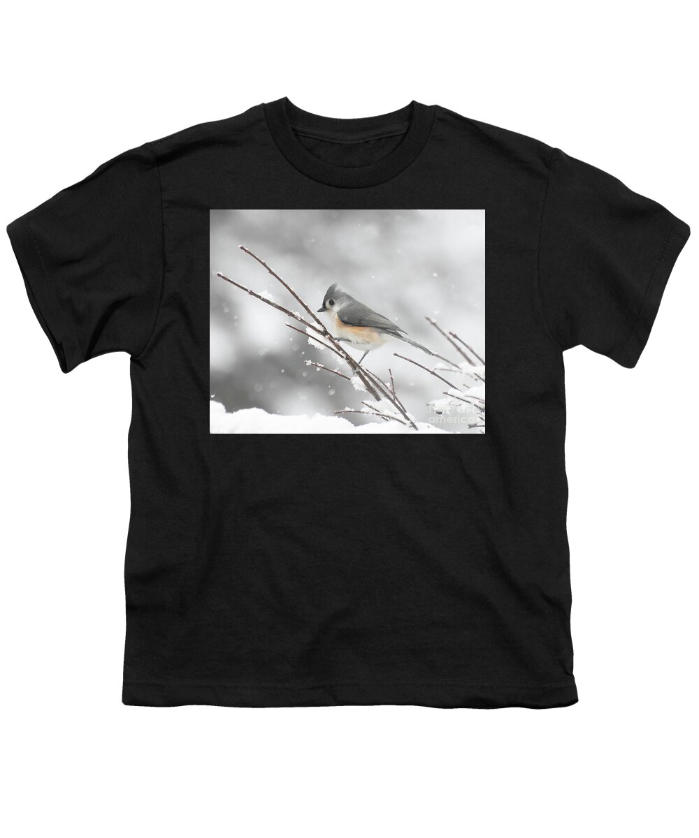 Tufted Titmouse Youth T-Shirt featuring the photograph Tufted Titmouse on a Winter Day by Kerri Farley