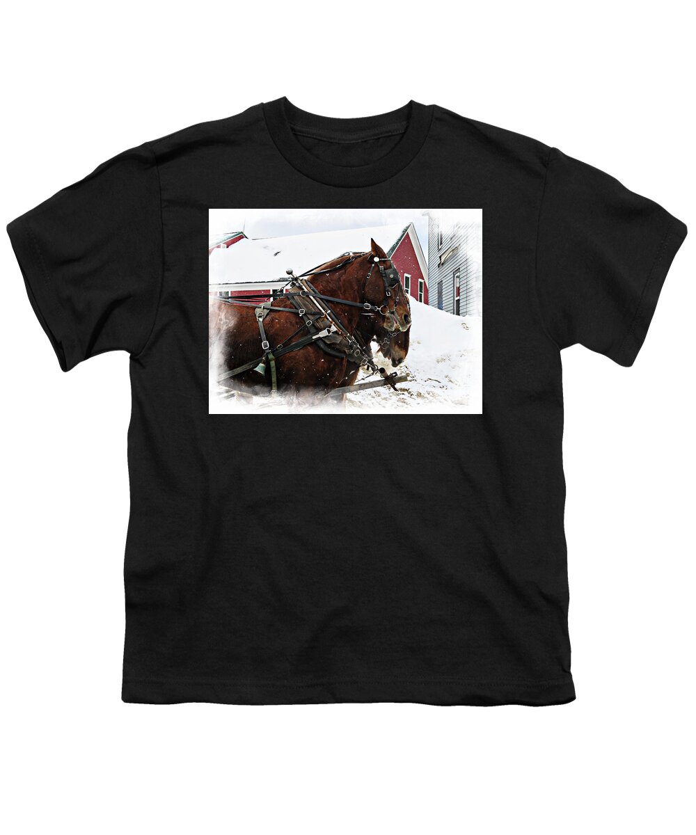 Winter Youth T-Shirt featuring the photograph Two Horses Snow Falling by Russel Considine