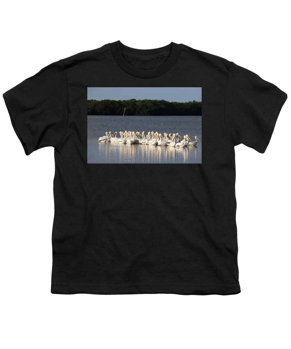White American Pelican Youth T-Shirt featuring the photograph White American Pelicans by Mingming Jiang