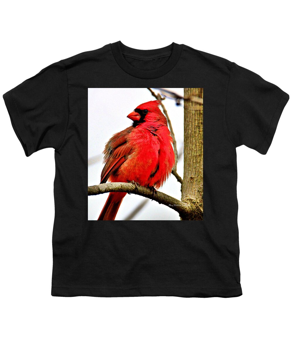 Birds Youth T-Shirt featuring the photograph Winter Cardinal by Mary Walchuck
