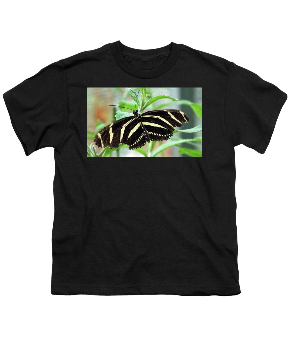 Butterfly Youth T-Shirt featuring the photograph Zebra Butterfly by Bill Barber
