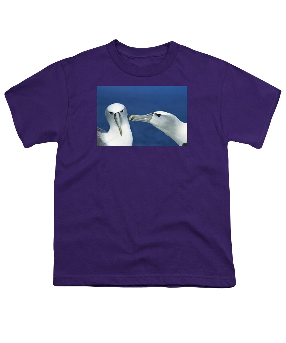 Feb0514 Youth T-Shirt featuring the photograph White-capped Albatrosses Courting #1 by Tui De Roy