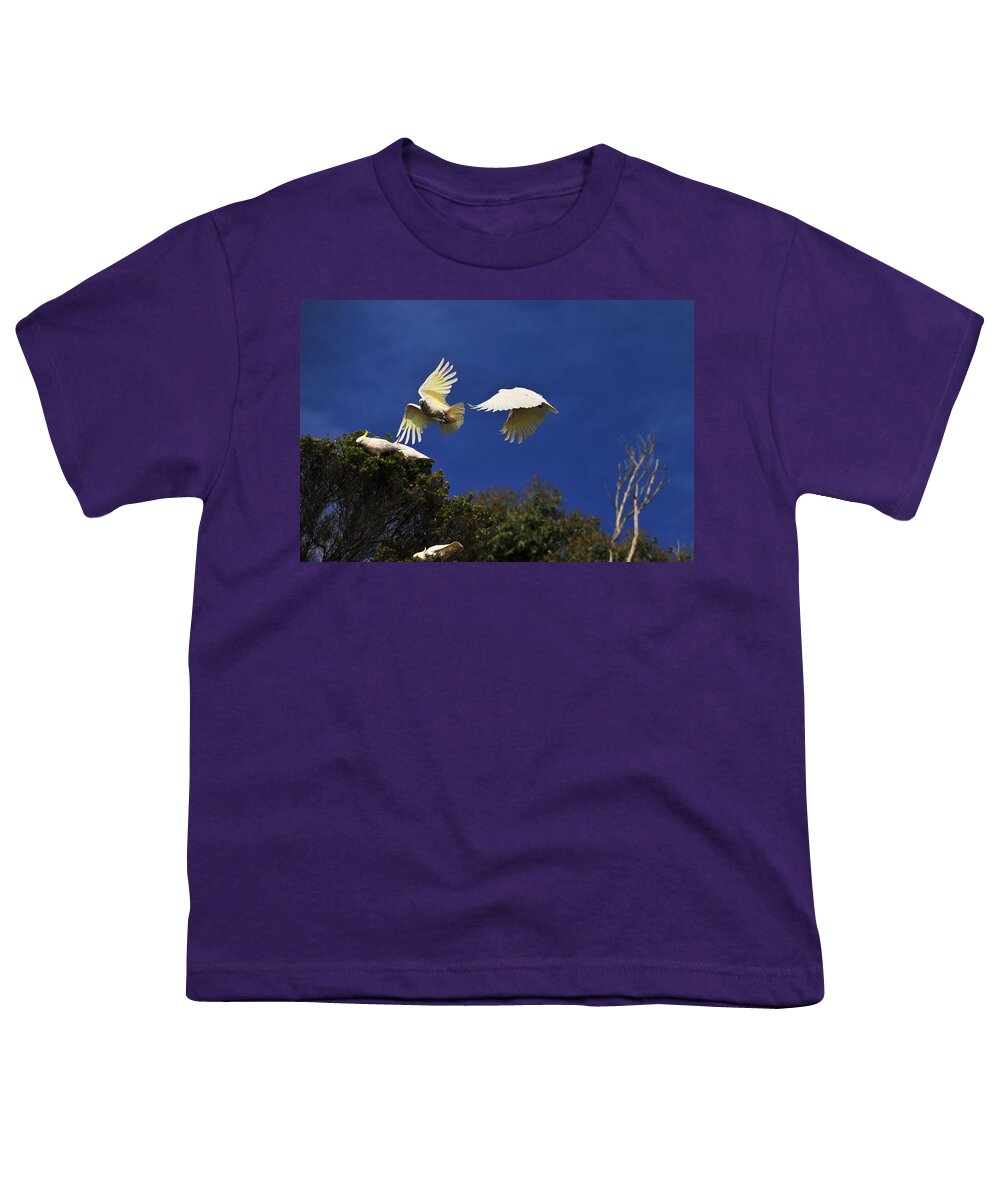 Acrylic Print Youth T-Shirt featuring the photograph Cockatoos On the Wing by Harry Spitz
