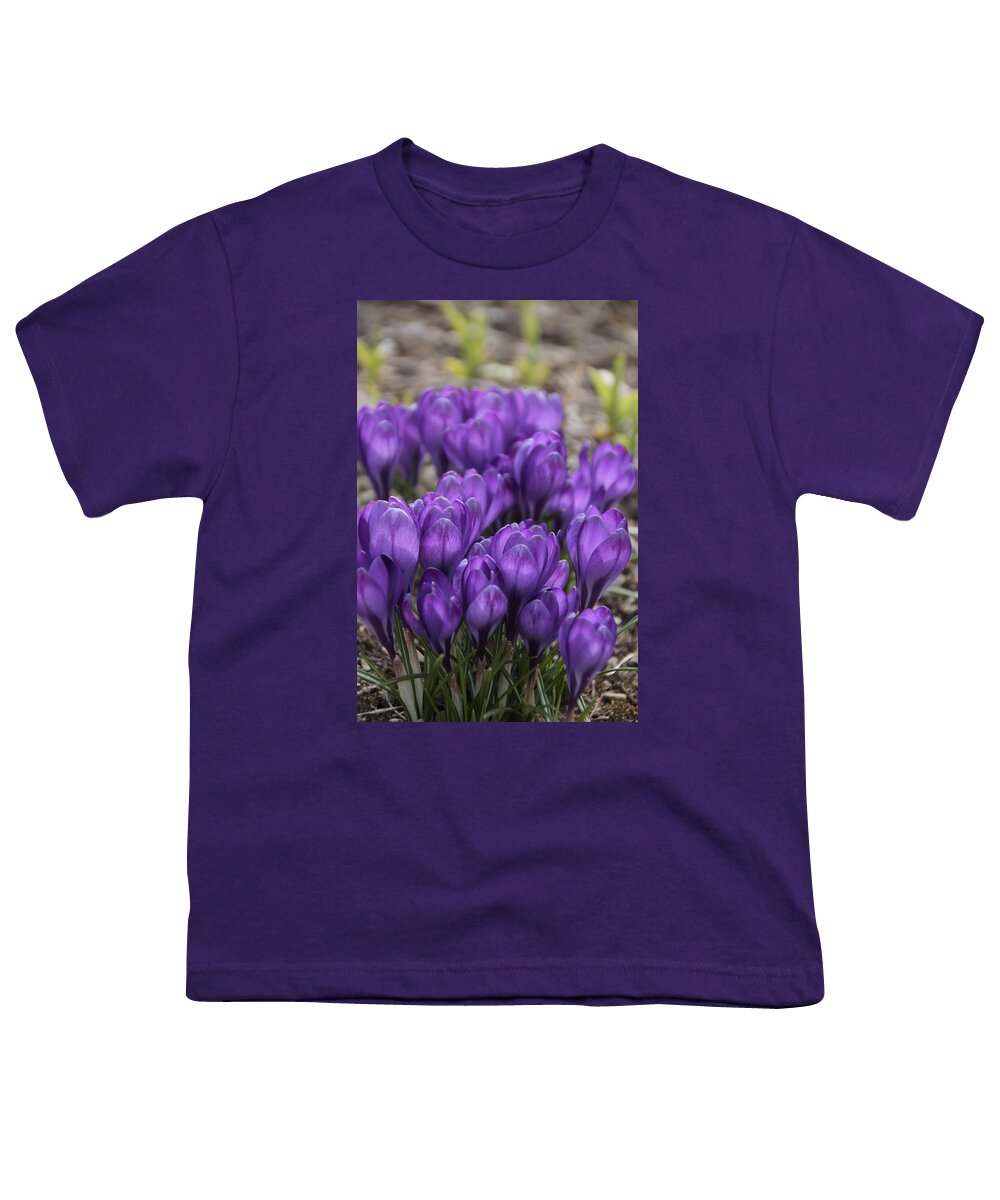 Springtime Youth T-Shirt featuring the photograph Purple crocus Flowers by Valerie Collins